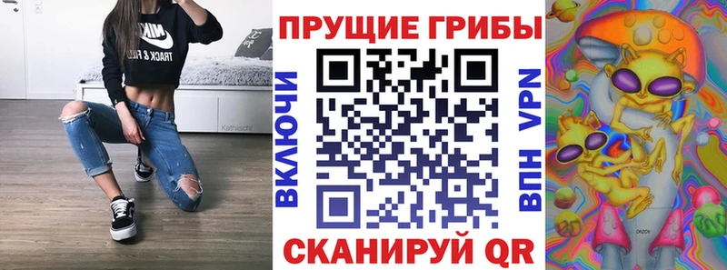 Псилоцибиновые грибы Magic Shrooms  Будённовск 